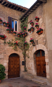 Flower pots on a courtyard wall.